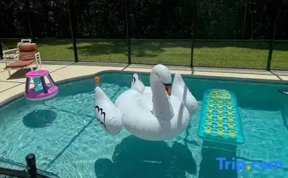 Beautiful Pool Home near the I95 Exit 284