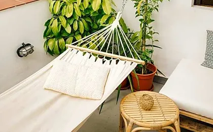 The Urban Jungle Hostel