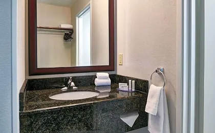 Fairfield Inn & Suites by Marriott Detroit Livonia