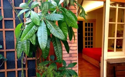 Guest House Il Limone Nascosto