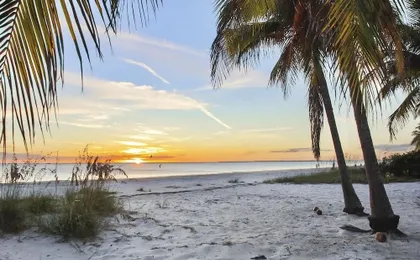 Carlos Pointe #126 - Endless Beach