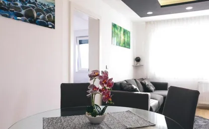 Apartment Vuky