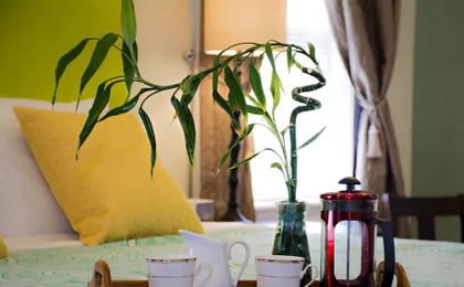 Malolo Bed And Breakfast