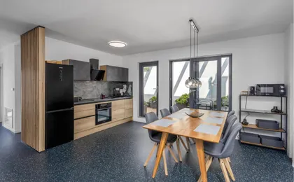 Apartman Anica