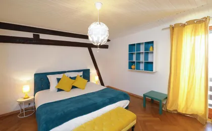 Maison Centre Ville Colmar Jacuzzi Jardin Et Climatisation