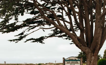 Sea Otter Inn