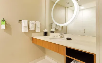 Springhill Suites By Marriott Mcallen Convention C