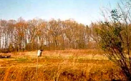 Oak Grove Bed and Breakfast