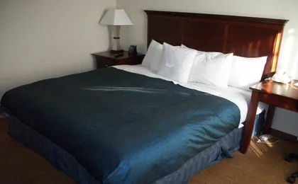 Poplar Inn And Suites