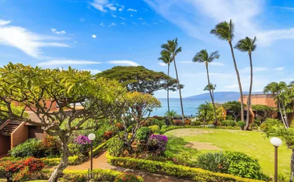Kuleana Club - 509
