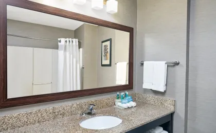 Comfort Inn & Suites Buford near Mall of Georgia