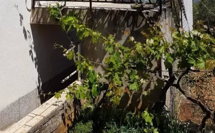 Apartment Arbanija 1125a