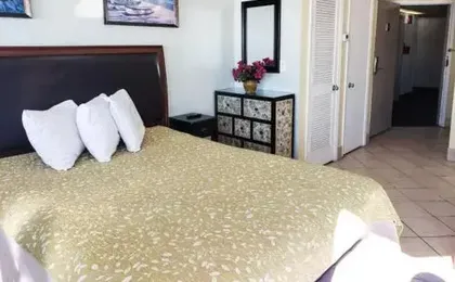 The Palace 2305