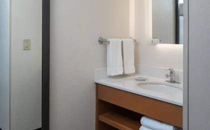 Springhill Suites Charleston Downtown/Riverview