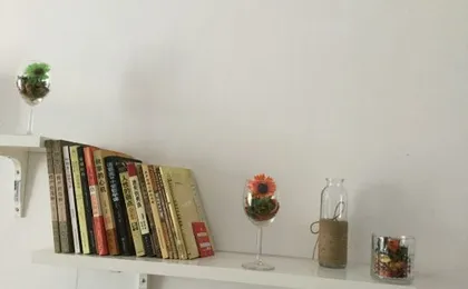 Elves Apartment