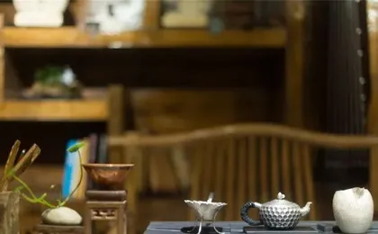 ‌The Secret Garden of Cats & Wolf's Den | Barista Courtyard Cafe & Inn (Wuyi Street)