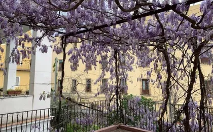 Appartamento Il Glicine
