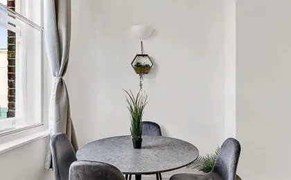 Contemporary Oasis in Paddington II
