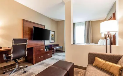 Comfort Suites University