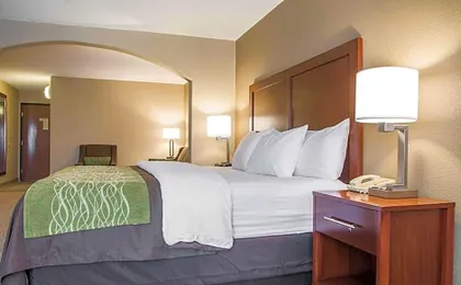 Comfort Inn Edinburg South