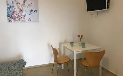 Studio Apartment Milla