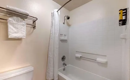 Best Western Plus Orchid Hotel & Suites