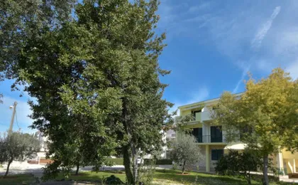 Apartments Davorka
