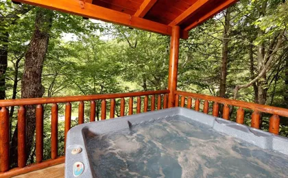 Around the Mountain - One Bedroom Cabin