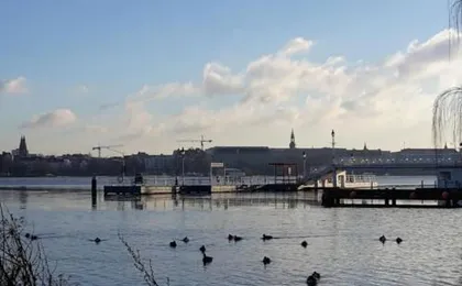 Apartment Alster