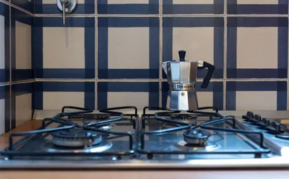 Rental in Rome Borgo Angelico Terrace