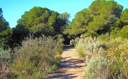 Albufera Dreams Nature Suites