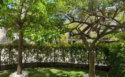Secret Garden