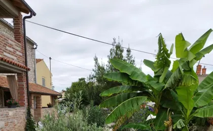 Apartmani Memic 100m Od Mora