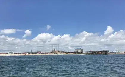 Ocean Princess 207 1 Br condo by RedAwning