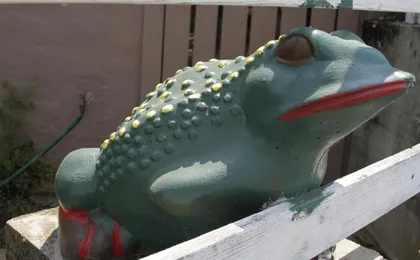 Jumping Frog Motel