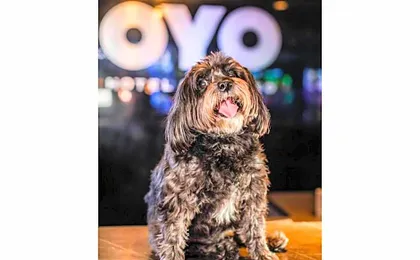 OYO Hotel and Casino Las Vegas