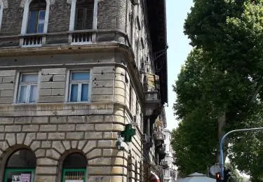Donatella