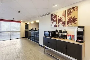 Tropical Palms Hotel