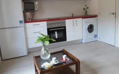 Apartment in Sol