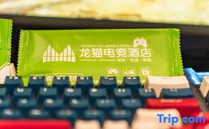 SHANGHAI DRAGON CAT ESPORTS HOTEL
