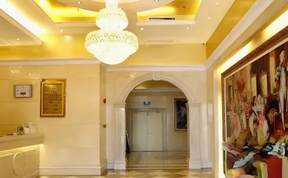 Longgang Longdong vienna Hotel