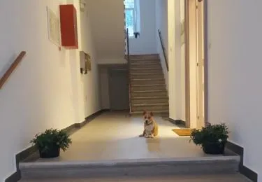 Apartman Draguć