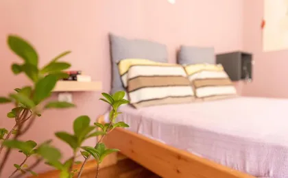 Nice Apartment Near City Center