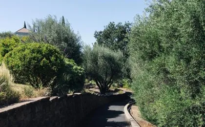 Le Petit Pali St Helena