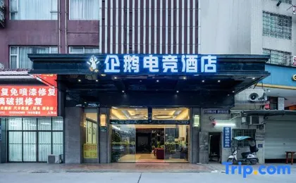 Penguin E-sport Hotel