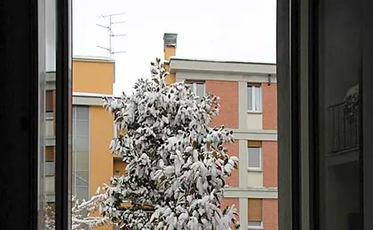 La Magnolia BB