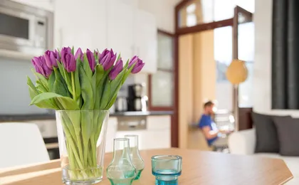 Studio 44 Apartments with Harmony
