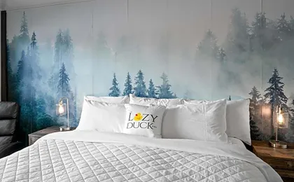 Lazy Duck Inn