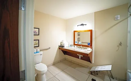 Comfort Suites University