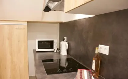 Appartements les Lions